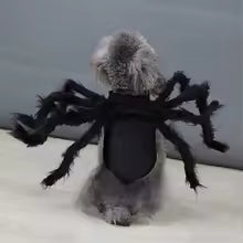 Disfraz Araña Pawloween